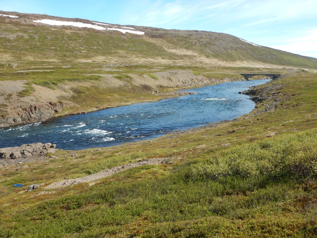 ´Neðribrúarfljót og Gunnlaugsbrot. 2015