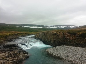 Imbufoss - haust