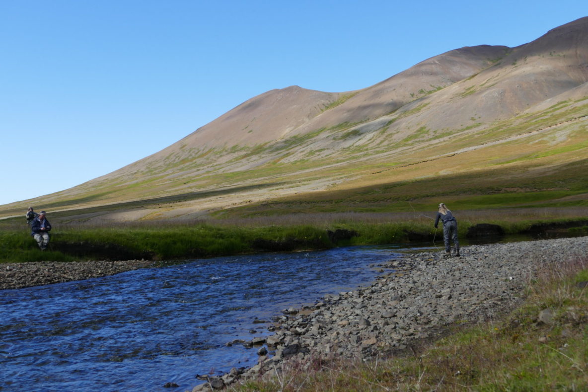 Hallá, Húnaflói, Iceland, salmon fishing, lax-a.is